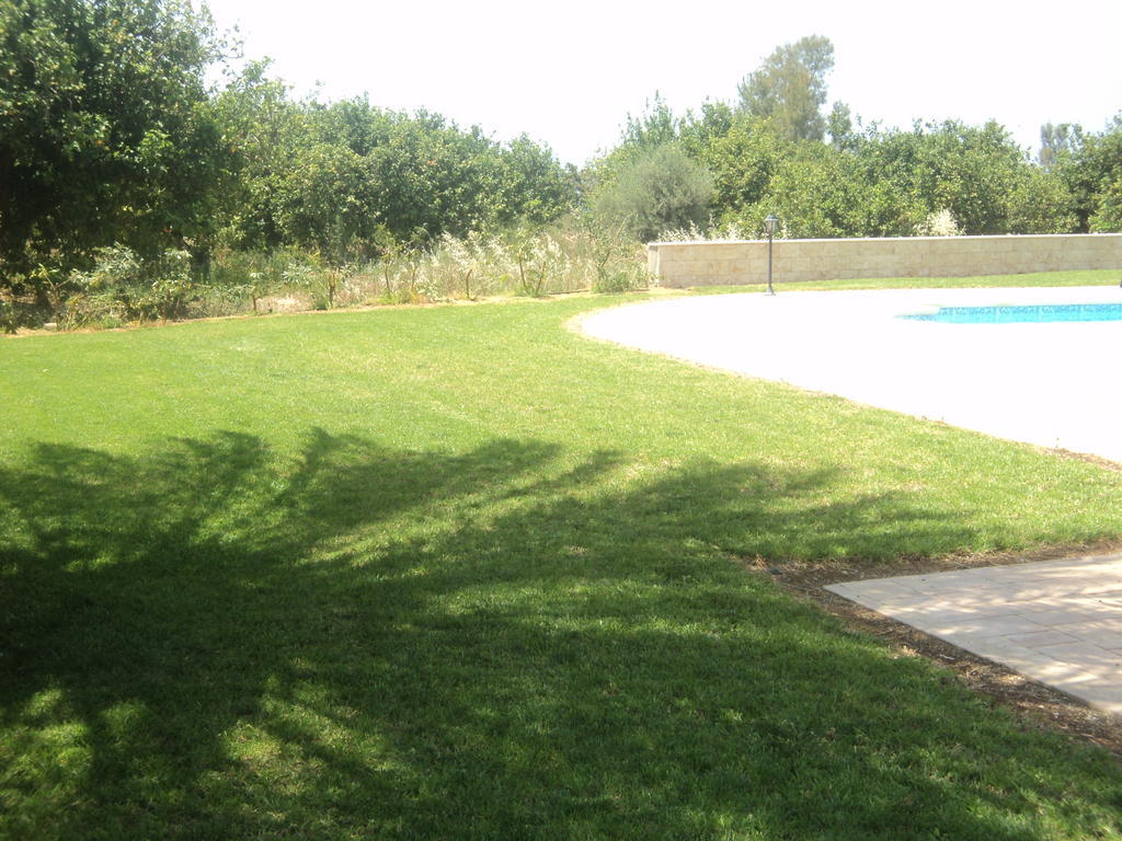 Citrus Grove Villa Argaka Room photo